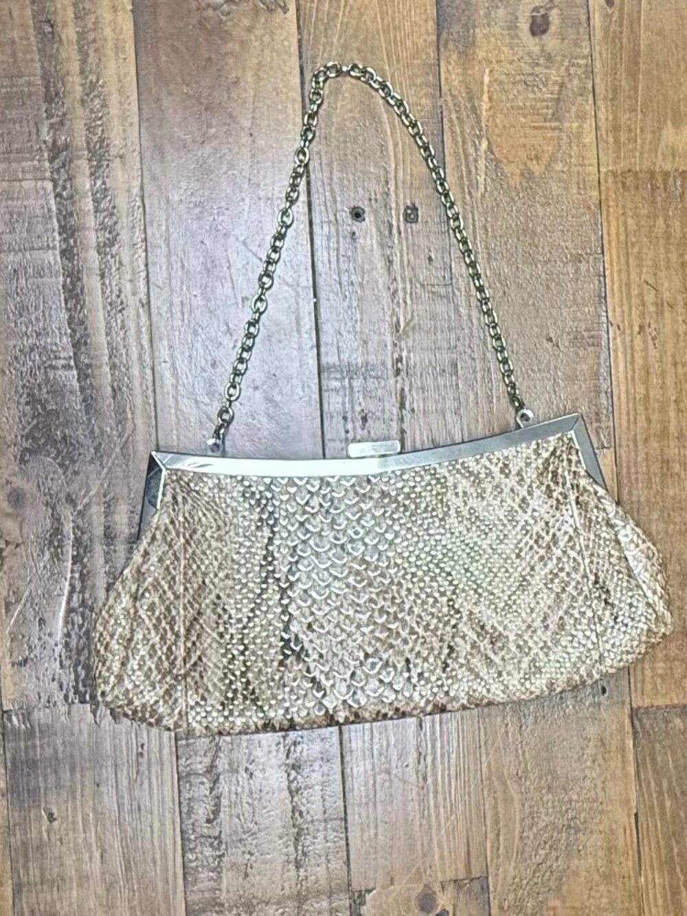Snakeskin Clutch